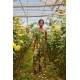 Jumpsuit 333009 