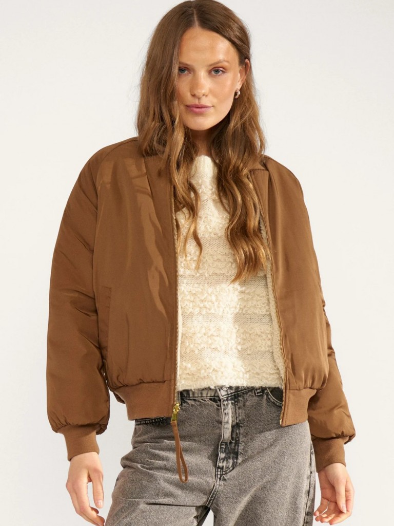 Jacket&nbsp;706893&nbsp;dachshund